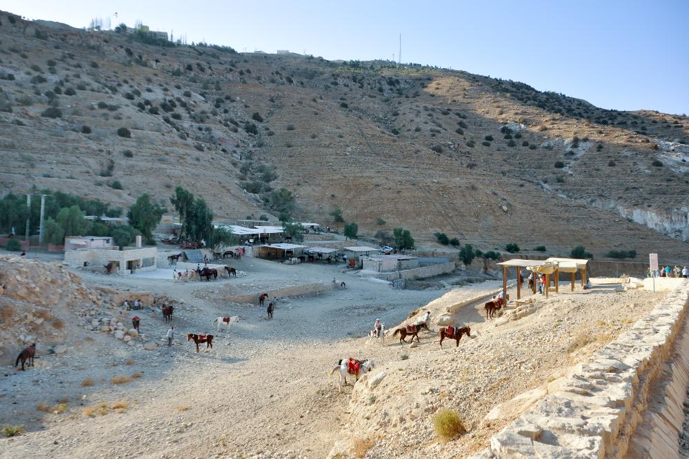 101020-081344.jpg - Wir haben Petra erreicht und wandern mit Scharen von anderen Besuchern zur Eingangsschlucht. Die Pferde sind für Gehfaule gedacht.